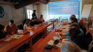 Exercice sur l'anatomie des oiseaux d'eaux et marins hivernants - LPO PACA